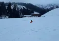 20180223_183409213_ios.jpg