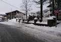 dsc_4783.jpg