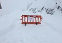 img20190109wa0008.jpg