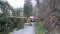 baum_lauterbach_4.jpg
